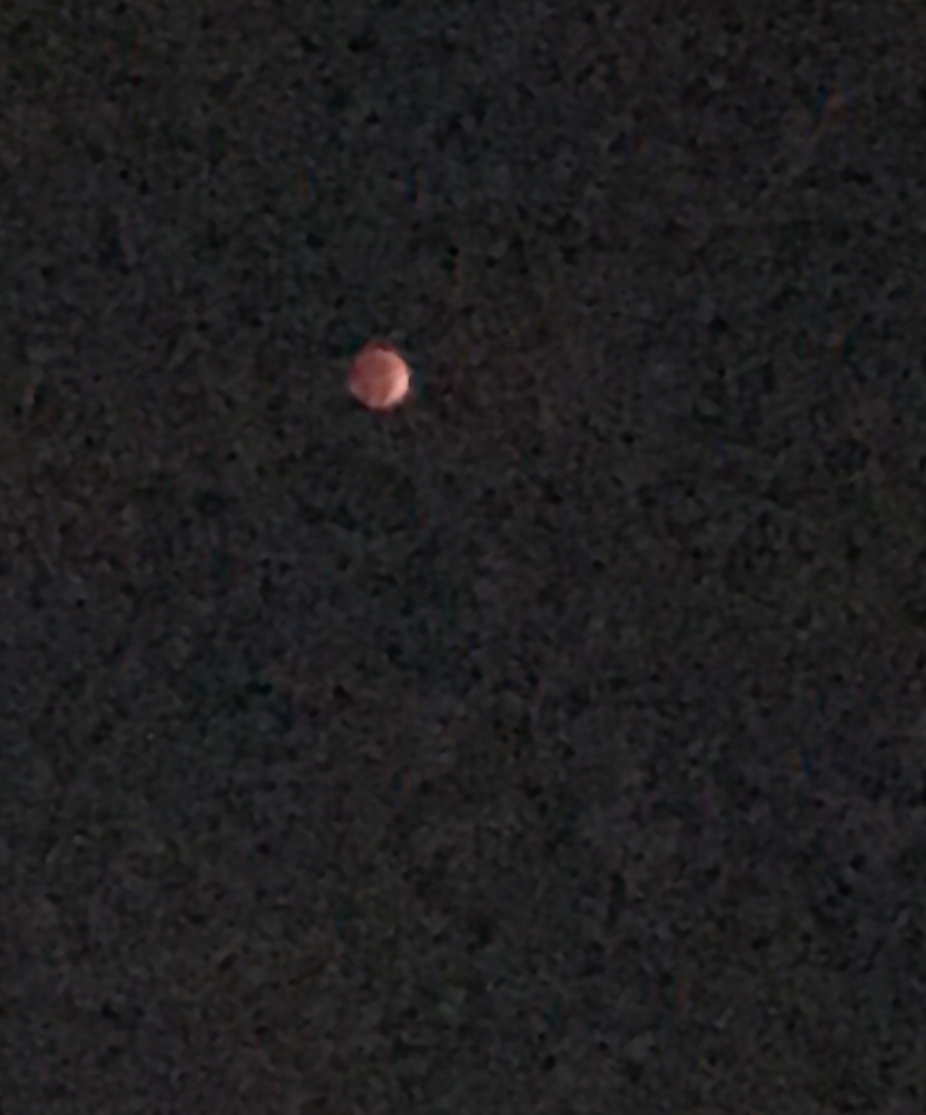 The full lunar eclipse this morning